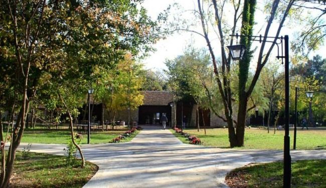 Si e njoha aktorin e famshëm Michele Placido dhe historia e fotos që bëmë bashkë?!