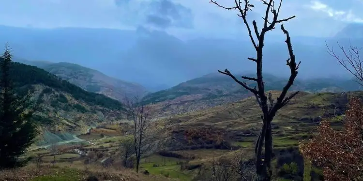 “Natën e 5 qershorit 1954, shtatë burra dhe një grua, lanë shtëpitë e tyre e morën udhën, duke u ngjitur në fshehtësi…”/ Arratisja e bujshme e grupit të Refat Hysenit, nga Kamenica në Greqi