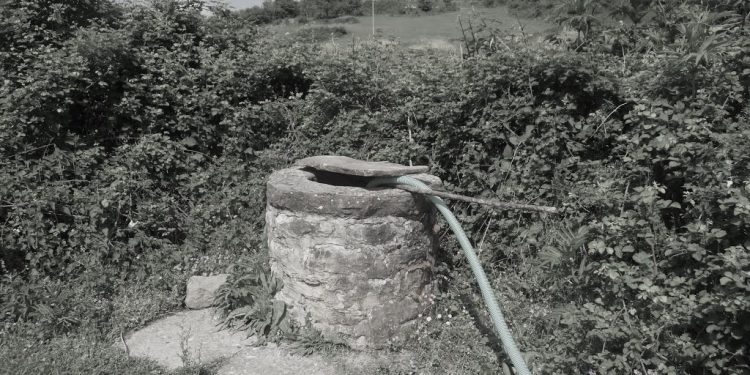 “Si e liroi nga burgu Gjykata e Lartë, burrin që akuzohej se kishte hedhur në pus gruan e tij, për ta vrarë, pasi ajo…”?! / Dëshmia e profesorit të njohur të Mjekësisë – Ligjore, Dr. Spiro Çipi