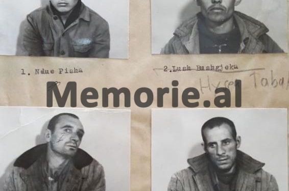 “Kryetari i Degës së Brendshme Pukë, urdhëroi që vend-roja nr.1, të përdorte armën, ndaj të dënuarve, M. Leka, K. Gjordeni dhe T. Ndoja, pasi…”/ Zbulohet dokumenti sekret i Revoltës së Qafë-Barit, 22 maj ‘84