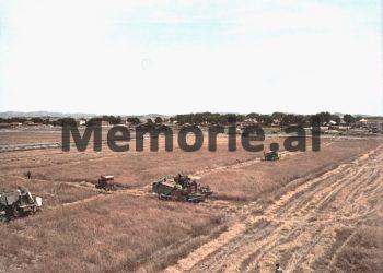 “Mërgim Korçës iu akordua titulli i lartë; ‘Punonjës i Shquar i Shkencës dhe i Teknikës’, me urdhër të vetë Enver Hoxhës, i cili në këtë rast…”/ Refleksionet e publicistit të njohur nga SHBA-ës