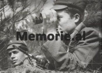 “We shot him with volleys and he fell down, saying: ‘O soldier, you killed me’, while the other two fled towards the village of Starje, where…”/ Testimony of the soldiers, about the murder of the brother of the famous singer, in February 1990