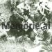 “Mërgim Korça, denoncoi mungesën e vlerave të të droguarit prej ideologjisë komuniste, ish-komunistit Xhelal Staravecka, që ngre lart figurën e Enver Hoxhës…”/Refleksionet e publicistit nga SHBA-së
