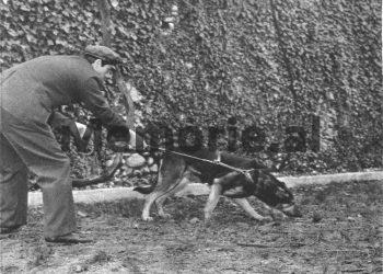 “Dy shokët e mi, Ibrahim Nezha e Osman Pepmarku, pas torturave çnjerëzore, i detyruan të hapin një gropë dhe i hodhën të gjallë…”/ Dëshmia e rrallë “diversantit”, që u kthye në Shqipëri pas ‘90-ës