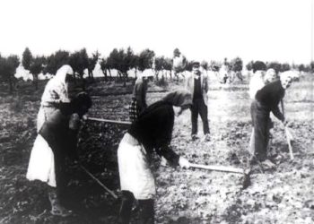 “There in Savër, we also found Afërdita Skram, the sister of actress Liza Laska, a very beautiful young woman, a former teacher, whose family had forever disowned her, because…”/ The rare testimony of the writer from Belgium 