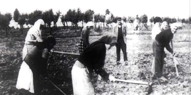 “Aty në Savër, gjetëm dhe Afërdita Skramin, motrën e aktores Liza Laska, një grua e re shumë e bukur, ish mësuese, ku familja përjetësisht e kishte mohuar, pasi…”/ Dëshmia e rrallë e shkrimtares nga Belgjika