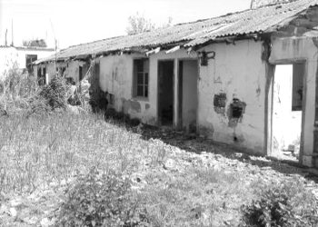 “My uncle, Akile Tasi, after staying for 30 years at ‘Vatra’ in the USA as the editor of ‘Dielli,’ returned to the homeland where he suffered 17 years in prison in Burrel and died there, after…” / The sad story of a friend of Fan Noli.