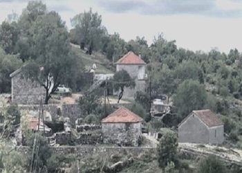 “UDB-ja jugosllave në bashkëpunim me komunistët shqiptarë, vranë në pabesi, Nikoll Gjolaj, Dedë Nikë (Nici) Nikollaj dhe Nikë Micakaj, pasi…”/ Historia e panjohur e pushkatimit të malësorve të Trieshit