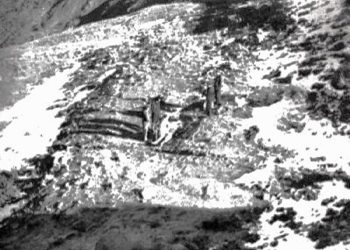 “‘It had happened that the corpses of the killed, torn apart at night by dogs, were found the next day on the roads, a thigh here and an arm there and the head in…’ / The tragic testimony of a former political prisoner.”