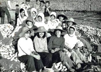 “Fenomene të ngjashme si ajo e familjes Merlika (Kruja) nga regjimi komunist, Arshi Pipa, i ka stigmatizuar: ‘Njolla e kriminelit në ballin e atdhetarit’, që…”/ Refleksionet e studiuesit nga SHBA-ja