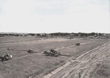 “Ditën e lirimit në rrugët e Mirditës, gra e fëmijë të vegjël, na shihnin me urrejtje dhe bërtisnin; ‘armiqtë’, kurse sa kaluam Milotin e Laçin, njerëzit…”/Dëshmitë e rralla të shqiptaro-maqedonasit nga Korça