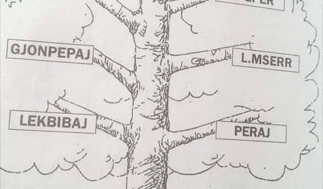 “Është ekzogamia e rreptë e në lidhjet martesore, deri në vitin 1972, në tërë fisin Nikaj, me 451 familje, nuk ka patur asnjë lidhje martesore, brenda tyre…”/ Historia e panjohur, e fisit të famshëm të Tropojës