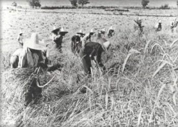 “Pas ’90-ës, kur isha shef personeli në komisariatin e Beratit, kolegu I.S., më tregoi se si më kishin përgjuar dikur te kroi Malinatit, ku kisha thënë për Enverin …”/ Dëshmia e ish-të burgosurit politik