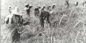 “After the ’90s, when I was Chief of Personnel at the Berat Police Station, my colleague I.S. told me how they had once eavesdropped on me at the Malinati spring, where I had said about Enver [Hoxha]…”/ The testimony of the former political prisoner.