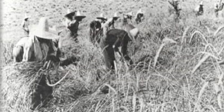 “Pas ’90-ës, kur isha shef personeli në komisariatin e Beratit, kolegu I.S., më tregoi se si më kishin përgjuar dikur te kroi Malinatit, ku kisha thënë për Enverin …”/ Dëshmia e ish-të burgosurit politik