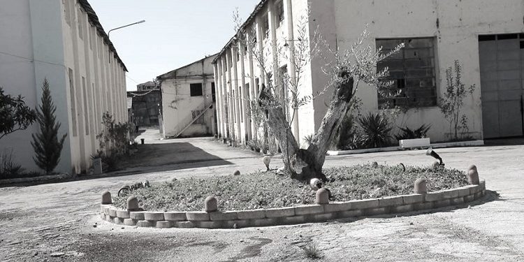 “Kur në uzinë po qarkullonin fjalë, se Pali mund të arrestohej, një punëtor i ri, Kiço Londo, që s’po i jepnin shkollën e lartë prej biografisë, i tha; Bacë…”/ Historia e rrallë, me mirditorin disident në Kuçovë