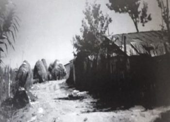 “When the surprised driver said to the father; How can I be left alone in the truck, all night, you an old man, with a young girl?! – We went to his house, but…”/ The sad event, with the “enemy of the people” family!