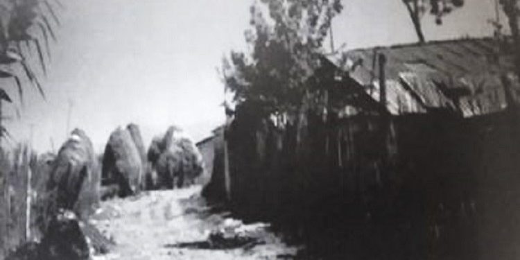 “Kur shoferi i habitur i tha babës; Si mundem me të lanë vetëm në kamion, gjithë natën, ti nji burrë plak, me nji vajzë të re?! – ne shkuam te shtëpia e tij, por…”/ Ngjarja e trishtë, me familjen “armike të popullit”!