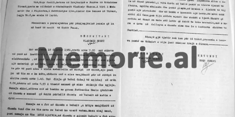 “Nga ora 00.30 e 18 dhjetorit 1981, unë dhe Vladimiri, u ngritëm të dy, për të parë Mehmetin dhe kur arritëm në katin e dytë, vumë re…”/ Dëshmia e rrallë në hetuesi, e nuses së djalit të ish-kryeministrit Shehu