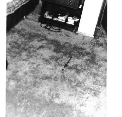 “Duke ndjekur rrugën që ka bërë predha në trup, në jastëk, batanije dhe deri në dyshek, del se viktima…”/ Dokumentet e panjohura arkivore, me fotot dhe akt-ekspertizën e ish-kryeministrit Mehmet Shehu