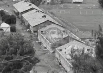 “Kur shkonte një herë Enveri, për në Gjirokastër, pyeti: ‘Ç’janë këto varre këtu mo’?! Dhe kur i thanë se janë të atyre të kampit, ai…”/ Dëshmia e rrallë nga SHBA-ja, e ish-të internuarit në Tepelenë