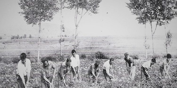 “Kur Operativi i Sigurimit, Resuli, e pyeti; A je gati të firmosësh një deklaratë, ku denoncon Arbërin, se gjoja ai do arratisej, ka folur kundra pushtetit, etj., Ibrahimi…”/ Historia e trishtë e kohës së diktaturës