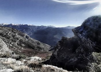 “Gjatë karrierës së tij afro 40 vjeçare, ai ushtroi detyra të ndryshme në disa institucione me rëndësi në Kosovë, Serbi, Maqedoninë e Veriut dhe komunën e Tuzit…”/ Historia e panjohur e Prof. Dr. Nikoll Ujkaj