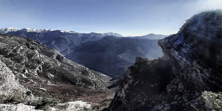 “Gjatë karrierës së tij afro 40 vjeçare, ai ushtroi detyra të ndryshme në disa institucione me rëndësi në Kosovë, Serbi, Maqedoninë e Veriut dhe komunën e Tuzit…”/ Historia e panjohur e Prof. Dr. Nikoll Ujkaj