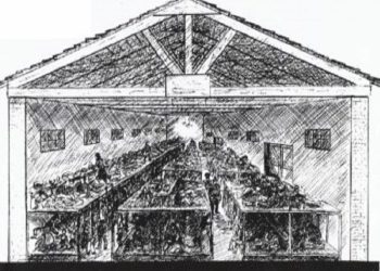 “Nduja dha shpirt duke mos e ndjerë më ngrohtësinë e duarve të nënës së vet, Lule Progni e, policët e vendosën trupin e tij te stiva me dru, por një shi i rrëmbyer…”/ Historia e trishtë e Kampit të Tepelenës