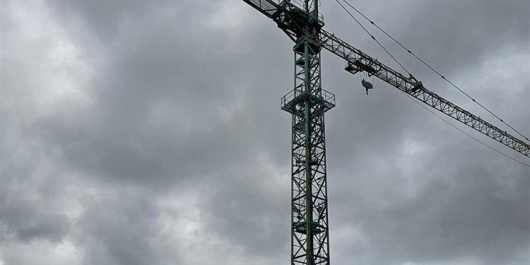 “Kur Arbëri i tha se; ka dy muaj që Ibrahimi po më provokon, për t’u arratisur, asaj iu kujtua daja i saj, Operativi i Sigurimit dhe vëllai i Ibrahimit, i sapo liruar nga burgu…”/ Historia e trishtë e kohës së diktaturës