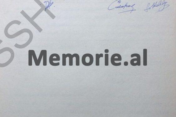 “Kur nuk pranova të parakaloja makinën e Enverit, që ma kërkuan Fiqretja me Marjetën, rrugës në kthim nga Durrësi, ato më thanë…”/ Dëshmia në hetuesi e ish-shoferit të Mehmet Shehut