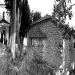 “Në varrimin e tij mori pjesë tërë Lushnja dhe pas meshës mortore në Kishën e Golemit, me porosi të Dhespotit të Beratit, Sinodi i Shenjtë, vendosi që…”/ Kujtimet e ish-të përndjekurit politik, Sokrat Shyti