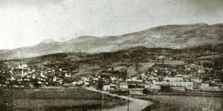 “Autoriteti i Dan Camit, u pa gjatë ceremonisë së varrimit, ku morën pjesë, jo vetëm nga krahina e Dibrës, por edhe nga  Luma, Mati, Hasi, Tropoja, Mirdita etj…”/ Refleksionet e historianit të njohur nga Shkupi