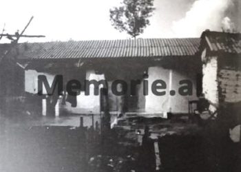 “Father, with my brother, Zef, surrounded by the Pursuit Forces in the Nikaj mountains, we were eating chestnut leaves, while we in Tepelena were eating corn kernels from the horse manure…” / The sad testimony of the son of the chieftain of Mërturi.