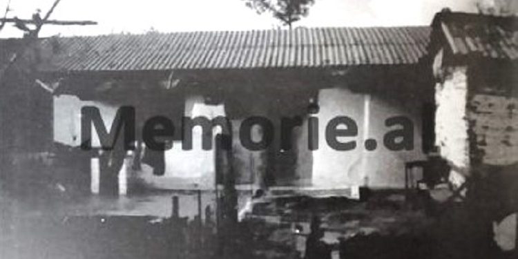 “Baba, me vëllanë, Zefin, të rrethuar nga Forcat e Ndjekjes në bjeshkët e Nikaj, hanin lënde lisi, ne në Tepelenë, kokrra misri nga bajgat e kuajve…”/ Dëshmia e trishtë, e të birit të bajraktarit të Mërturit