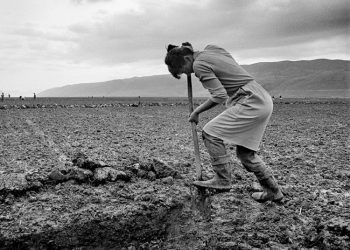 “The young boy, a brigade member in Lukovë, with a communist card in his pocket, went to the internment camp in Savër of Lushnja to look for the girl he recognized from the operation…” / The shocking story and the meeting after 25 years.