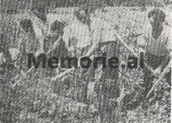 “Koloneli i mërzitur tha; më ka ardhur në majë të hundës kjo detyrë e mallkuar, jam oficer madhor, por drejtoj një fermë bujqësore këtu në Burrel, ndaj shokët e mi më…”/ Kujtimet e shkrimtarit Sokrat Shyti