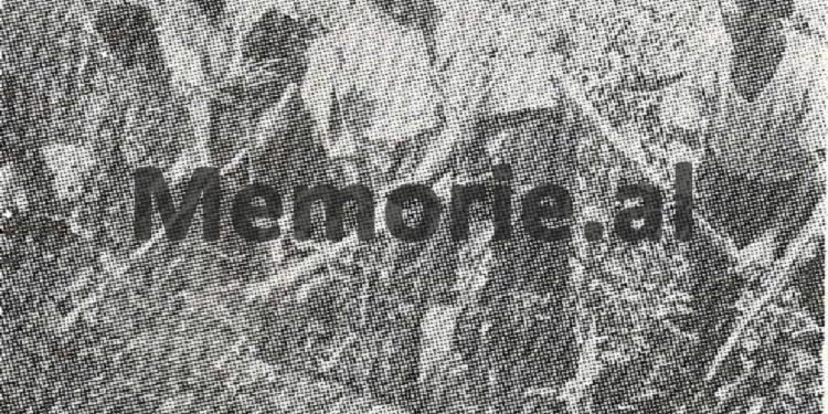 “Koloneli i mërzitur tha; më ka ardhur në majë të hundës kjo detyrë e mallkuar, jam oficer madhor, por drejtoj një fermë bujqësore këtu në Burrel, ndaj shokët e mi më…”/ Kujtimet e shkrimtarit Sokrat Shyti