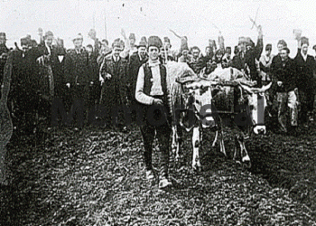 “Kushdo që, hyn arbitrarisht në tokën e tjetërit, të rrethuëm me garth ose me sqep, me hendeqe ose me shtigje, mbi kërkimin e anës të damtuëme, ndeshkohet me…”/ Çfarë parashikonte Kodi Penal i Monarkisë?