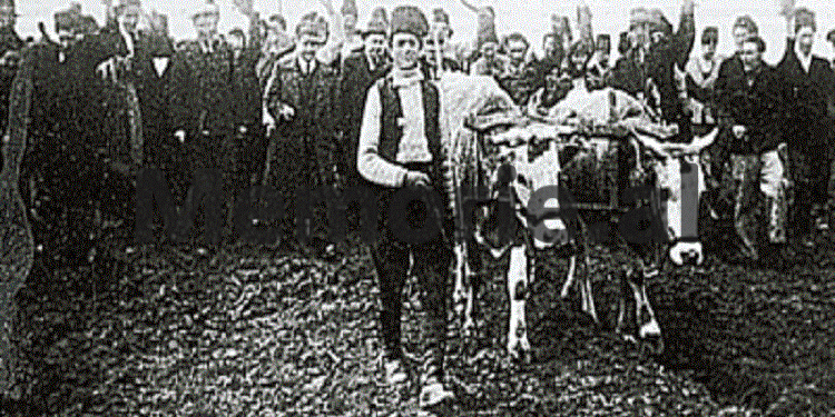 “Kushdo që, hyn arbitrarisht në tokën e tjetërit, të rrethuëm me garth ose me sqep, me hendeqe ose me shtigje, mbi kërkimin e anës të damtuëme, ndeshkohet me…”/ Çfarë parashikonte Kodi Penal i Monarkisë?