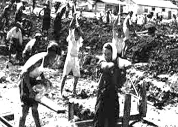 “Në kampin e Bonos, lufta për nji pikë ujë, si për ekzistencë, do t’u shfaqte në tanë shëmtinë e vet ma ekstrem mes të burgosunve, që u shtyjshin mes tyne për jetë a vdekje…”/ Kujtimet e Ahmet Bushatit