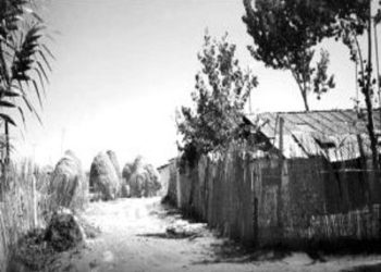 “Mark Ndue Ndoja, banues në Tiranë, nëpunës, me arsim të lartë, shtresë e mesme, përjashtuar nga Partia, i është zgjatur afati i internimit, edhe për…”/ Vendimi i Komisionit Internim-Dëbimeve, viti ‘67