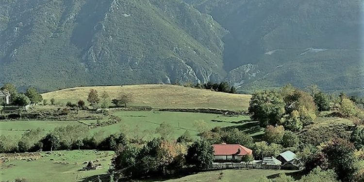 “Shtatë burra nga Lajthiza e Oroshit, nuk e lëshuan Dedë Gjo Lulin, në vitin 1915, kur ai u rrethua nga forcat pushtuese serbe, por u vranë bashkë me të…”/ Reportazhi i publicistit të njohur nga Mirdita