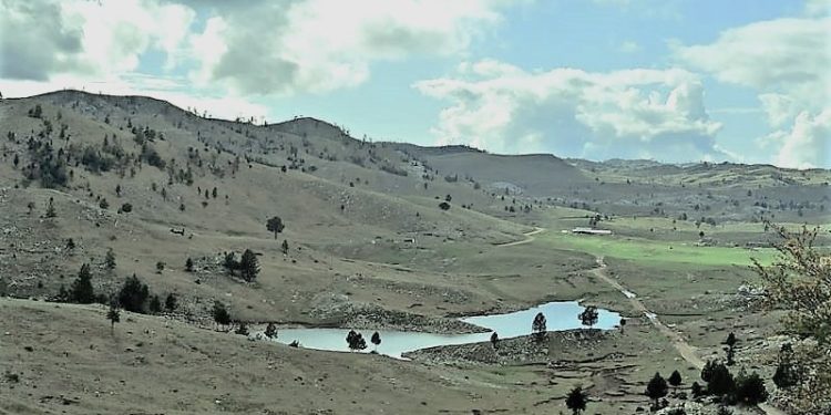 “Shtatë burra nga Lajthiza e Oroshit, nuk e lëshuan Dedë Gjo Lulin, në vitin 1915, kur ai u rrethua nga forcat pushtuese serbe, por u vranë bashkë me të…”/ Reportazhi i publicistit të njohur nga Mirdita