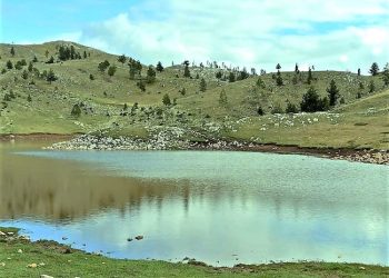 “Shtatë burra nga Lajthiza e Oroshit, nuk e lëshuan Dedë Gjo Lulin, në vitin 1915, kur ai u rrethua nga forcat pushtuese serbe, por u vranë bashkë me të…”/ Reportazhi i publicistit të njohur nga Mirdita