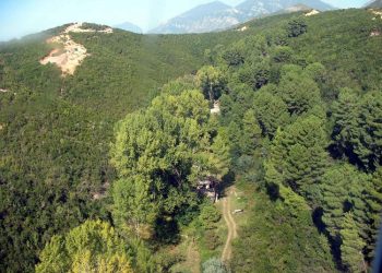 “Në prani të prokurorit Rrapi Mino dhe mjekut N. V., nga unë I. Seiti, i ngarkuar i Drejtorisë së Hetuesisë, u ekzekutua vendimi me pushkatim, për armiqtë A. Këllezi e K. Theodhosi…”/ Proces-verbali i 31 majit 1977