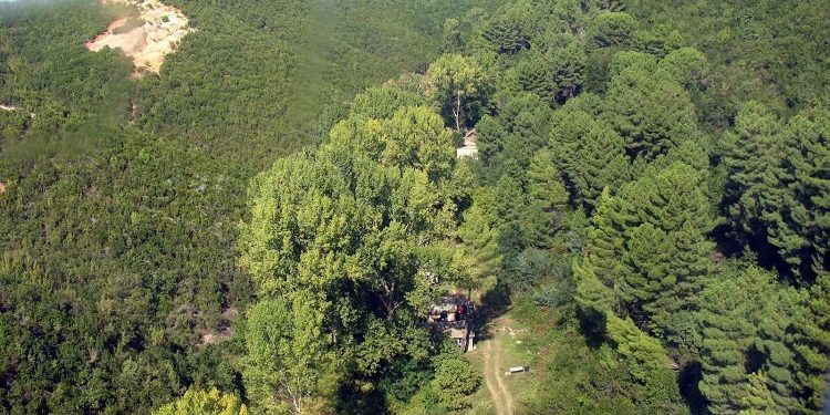 “Në prani të prokurorit Rrapi Mino dhe mjekut N. V., nga unë I. Seiti, i ngarkuar i Drejtorisë së Hetuesisë, u ekzekutua vendimi me pushkatim, për armiqtë A. Këllezi e K. Theodhosi…”/ Proces-verbali i 31 majit 1977