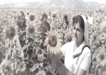 “Kur sekretari partisë më tha; Pse shkon në qytet, shokët e tu, po korrin grurin në aksion, ku i thërret partia dhe shoku Enver, ti bredh, ata luftojnë në Veitnam’, unë…”/ Refleksionet e shkrimtarit nga Vlora