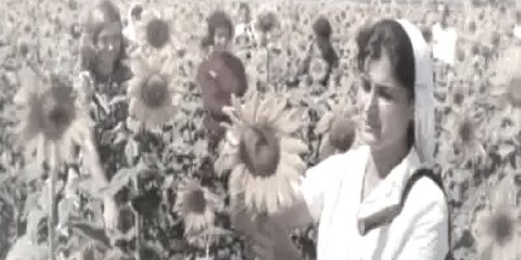 “Kur sekretari partisë më tha; Pse shkon në qytet, shokët e tu, po korrin grurin në aksion, ku i thërret partia dhe shoku Enver, ti bredh, ata luftojnë në Veitnam’, unë…”/ Refleksionet e shkrimtarit nga Vlora