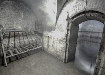 “Romanin tim me temë historike, kushtuar figurave të rilindjes kombëtare, e ndërpreva, pasi lexova në ‘Drita’, se një gjë të tillë po bënte edhe Sterjo Spasse, madje ai…”/ Kujtimet e Uran Kalakullës